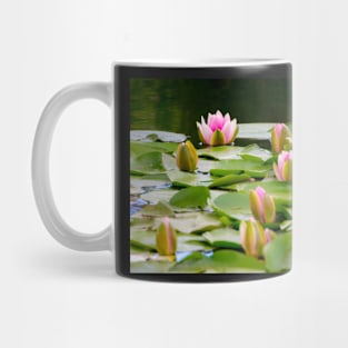 Pond with Water Lilies Mug